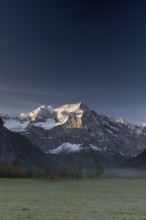 Nature conservancy area Grosser Ahornboden. Sycamore maple trees, Acer pseudoplatanus, in autumn.
