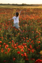 Back view of unrecognizable girl joyfully running in a lush field filled with blooming Papaver