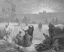 Return of the Ark of the Covenant, The People of Beth-Shemesh were harvesting and cutting the wheat