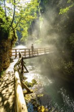 Sunbeams illuminating mist rising from radovna river in vintgar gorge near bled, with tourist