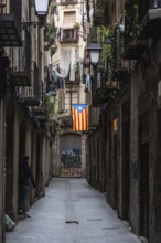 A flag of the Estelada of the Catalan Nationalists in an alley of the historic centre of Barcelona,