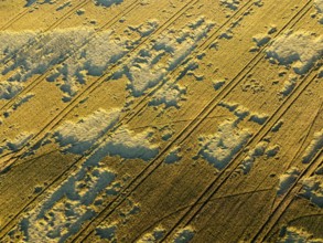 Close-up aerial of cultivated fields in Macerata, Italy, showing lines and textures from