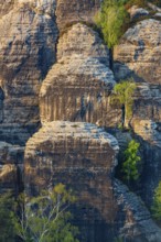 Sandstone formations in late light at the Bastei rocks near the village of Rathen in Saxon