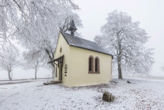 Schoenstatt Chapel Ennabeuren with hoarfrost in winter. Tourist attraction in the Swabian Jura.