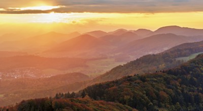 View of an autumnal forest from the Gisliflue, behind the Jurassic foothills in the light of the