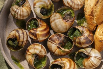 A close-up top view of baked escargot topped with butter and fresh parsley, served alongside crusty
