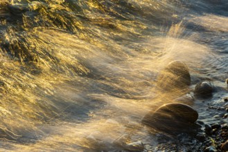 Wave play at sunrise on the chalk coast in Jasmund National Park, Rügen, Sassnitz,