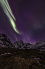 Northern lights over steep mountains, winter, aurora borealis, Flakstadoya, Lofoten, Norway