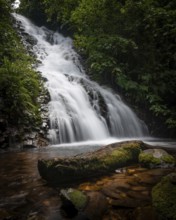 Captivating waterfall cascading through lush greenery in Bwindi Impenetrable Forest, Uganda,