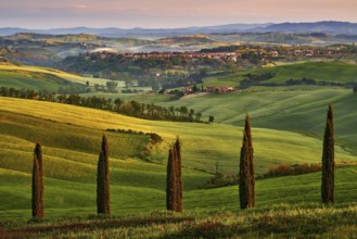 Asciano, landscape in Tuscany, near the Siana and Pienza, Sunrise morning in Italy. Idyllic view on