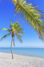 Smathers beach, Key West, Florida, USA