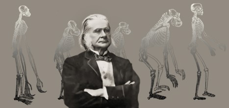 Portrait of Thomas Henry Huxley, 1825 – 1895, English biologist and anthropologist, specialized in