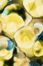 Vibrant interplay of yellow, blue, and green liquid inks merging into a fluid abstract design,