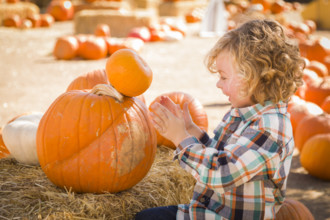 Little Boy Sitting and Holding His Pumpkin in a Rustic Ranch Setting at the Pumpkin Patch