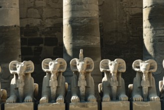At the entrance to Karnak Temple the Avenue of Sphinxes, statues with the head of a Ram and the