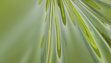 A 3D rendered illustration showcasing abstract fluid dynamics with smooth, flowing green and silver