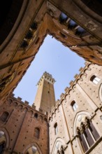 Upwards view of Torre del Mangia from inside Palazzo Pubblico, Siena, Tuscany, Italy