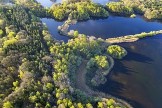 Aerial view of Ahlhorn fish ponds, autumnal, pond, lake, Lower Saxony State Forests, Ahlhorn, Lower