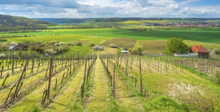 View over vineyard with vineyard cottage into the Unstrut valley, blue sky with dramatic clouds in