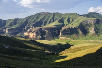 Grassland with sandstone cliffs and cliffs, landscape in Golden Gate Highlands National Park, Free