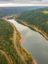 Aerial view of a river meandering through a forest with an adjacent road in autumn, Nagold Dam,