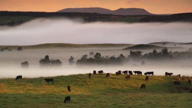 Europe, Scotland, Great Britain, England, landscape, CairnGorm Mountains, mountain group, fog