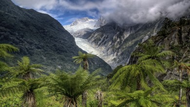 New Zealand, South Island, Franz Josef Glacier, Westland, National Park, National Park, New Zealand