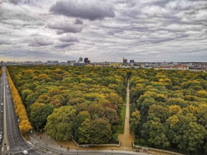 The city of Berlin in autumn with extensive forest and dramatic sky in the background, view from