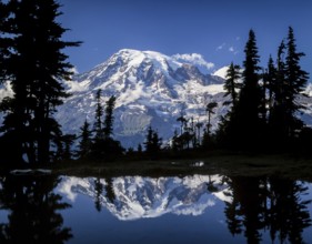 A stunning snow capped mountain reflects in a serene lake, framed by tall, silhouetted trees. The