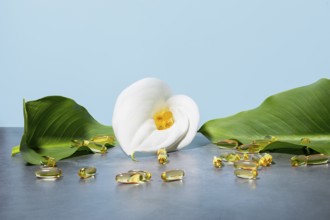 Serene display featuring golden omega-3 oil supplement capsules nestled in a white calla lily,