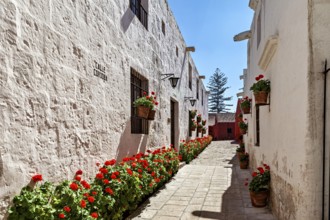 A sunny street with charming white buildings and bright red flowers, Santa Catalina Monastery in