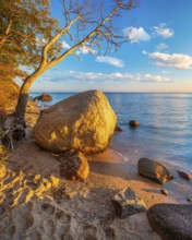 Coastal landscape with large boulders on the Baltic Sea beach in the evening light, Mönchgut Nature
