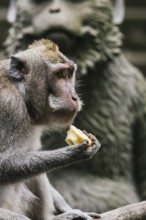 A monkey is captured enjoying a snack in a serene natural setting, with a stone sculpture blurred