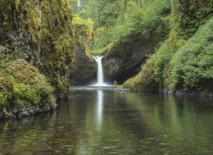 A picturesque waterfall cascades into a tranquil pool, surrounded by lush green foliage and moss