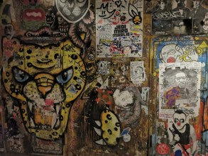 Living wall with leopard graffiti and diverse urban works of art, Berlin