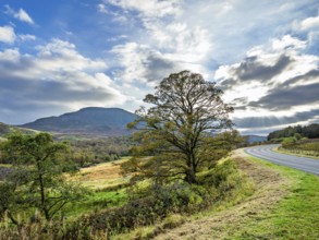 Autumn colors over Farms and Fields, Wales, UK