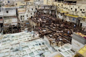 Chouwara tanning and dyeing district, Fez El Bali, Medina, UNESCO World Heritage Site, Fez, Morocco