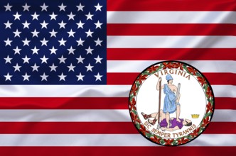 The flag of the USA and the coat of arms of Virginia, Studio