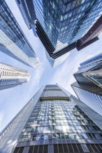 Frankfurt skyline skyscrapers buildings banks modern work offices in Frankfurt, Germany