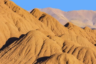 Rich orange and ochre hills of the Devil's Desert in Salta, Argentina, showcased against a clear