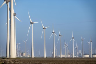 Westereems and Growind wind farms, in the north of the Netherlands, near Eemshaven, energy center,
