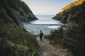 Back view of an unrecognizable man walking towards Shoe Cove Beach, a serene coastal inlet flanked