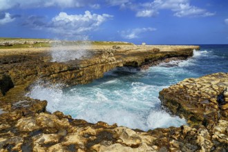 Caribbean - Antigua - Rocky coast