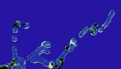 This digital artwork features abstract 3D liquid shapes swirling dynamically against a striking