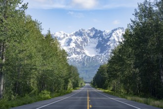 Road through taiga and mountainous landscape, picturesque landscape on Richardson Highway, Alaska,
