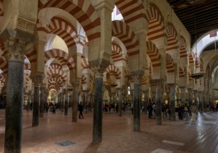 Cathedral Mosque of Cordoba (Mezquita-Catedral), Great Hall with people walking under the Moorish