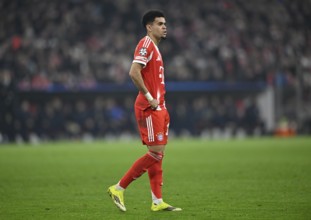 Luis Diaz FC Bayern Munich FCB (14) Football, Champions League, Allianz Arena, Munich, Bayern,