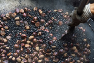Close-up view of a cropped unrecognizable person roasting fresh chestnuts in a large pan at a Hong