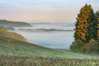 View of meadow on hilly landscape in the southern Harz at sunrise, morning fog in the valleys, near