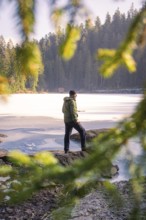 Man standing by a frozen lake in a wintery forest, framed by green branches, Glaswaldsee, Bad